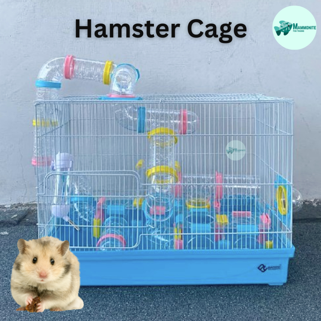 Fancy bear hamster cage online