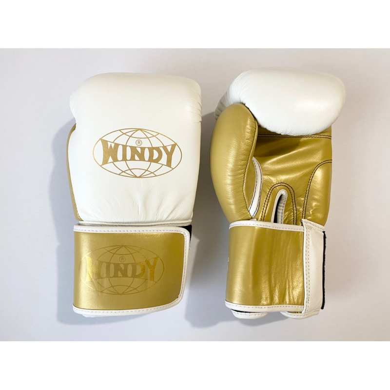 Rare Limited Edition Windy Thailand BGVH Muay Thai Boxing Gloves White and Gold Shopee Philippines