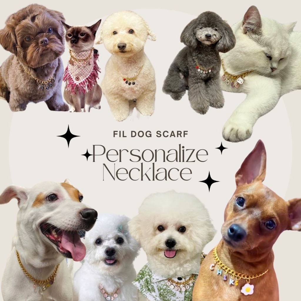 Personalized Chain Necklace for your pets by Fil Dog Scarf | Shopee ...