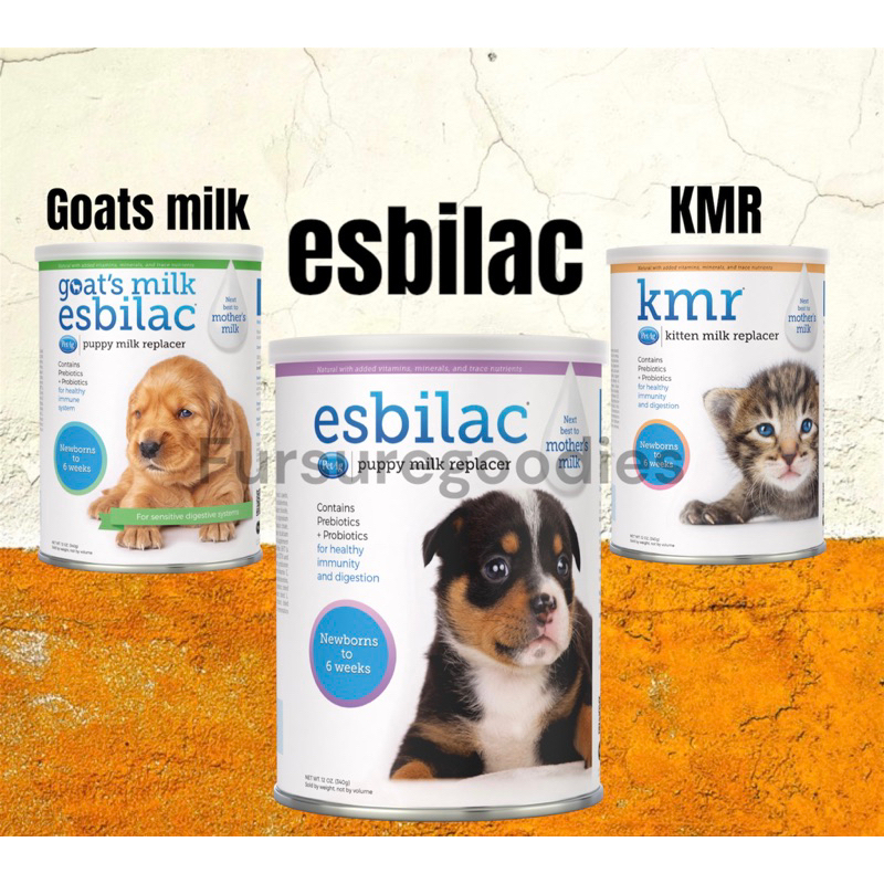 Canine milk replacer best sale