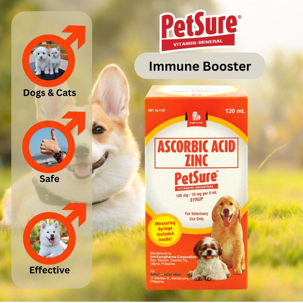 Ascorbic acid 2025 safe for dogs