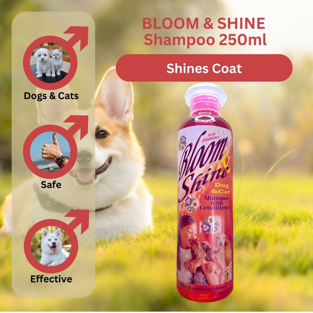 Is cat shampoo safe for clearance dogs