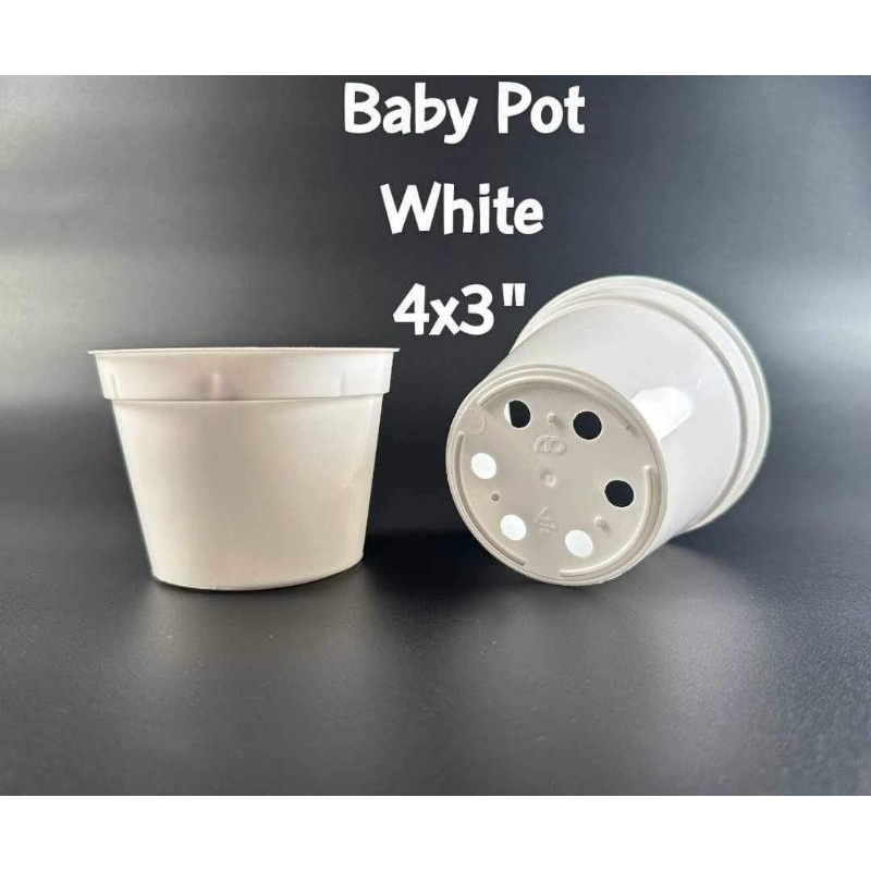 Small white pot for cactus & succulents giveaways wedding souvenirs