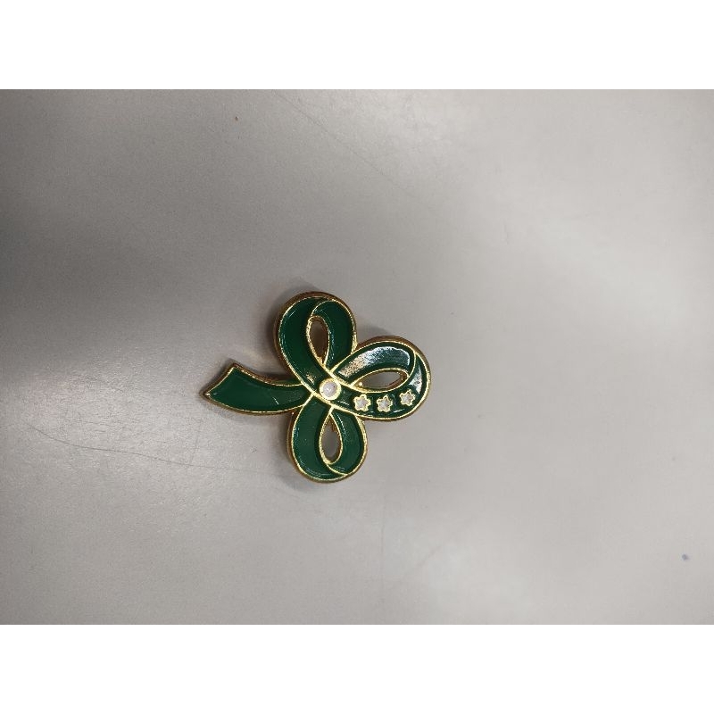 investiture pin (girlscout pin) Shopee Philippines
