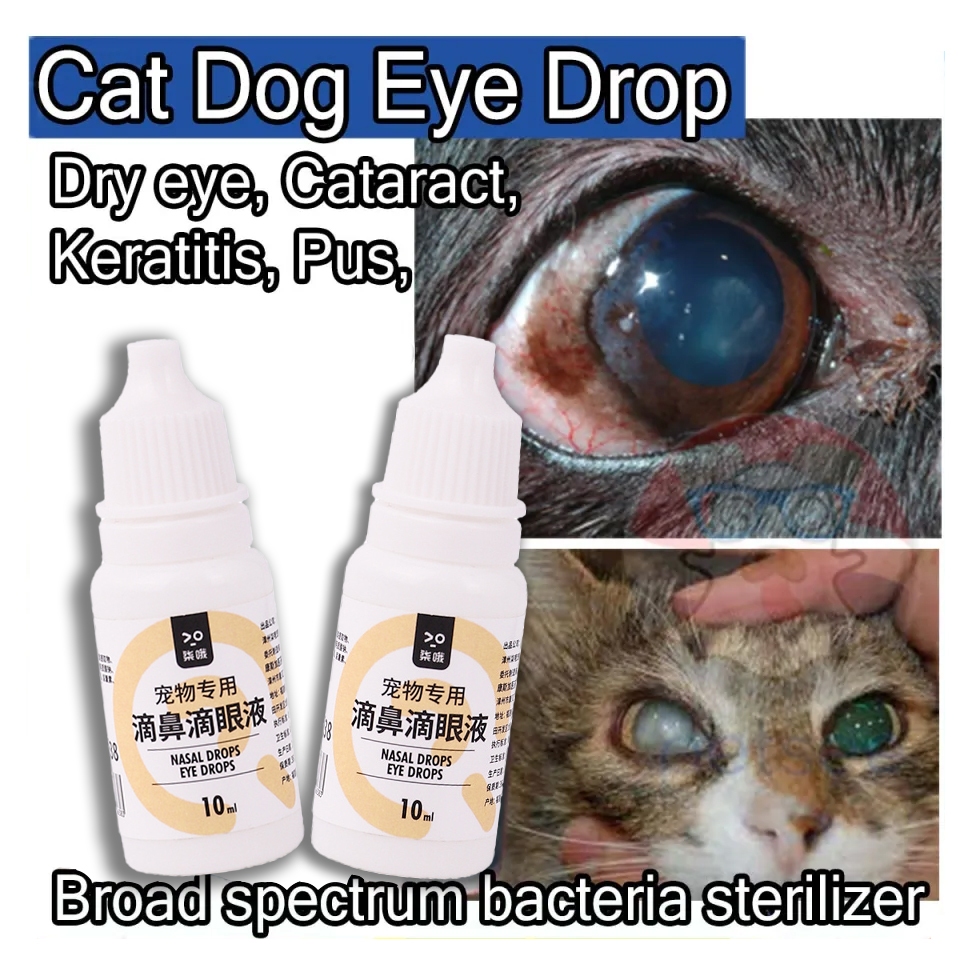 Gentamicin Eye Drop For Cat Eye Drops For Dogs Cats Gentamicin Sulfate
