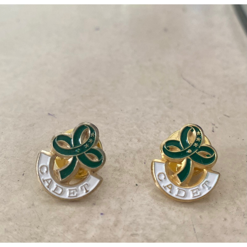 Girlscout Pin / World Pin and Pin Holder - Twinkler Star Junior Senior ...