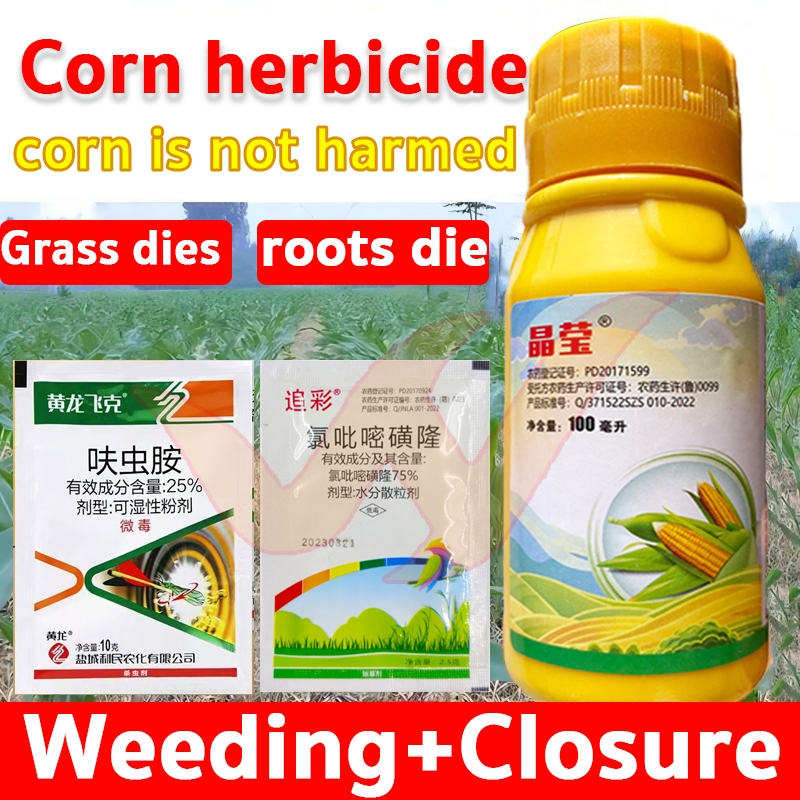 Special herbicide for corn field killer chemical Chlorpyrifosulfuron75 ...