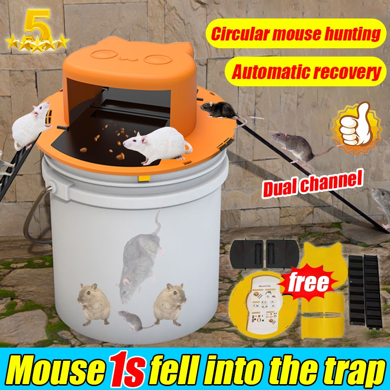 11'' Rat Trap Cage Small Live Animal Pest Rodent Mouse Control Catch  Hunting Trap Cage - China Traps Cage and Animal Trap price