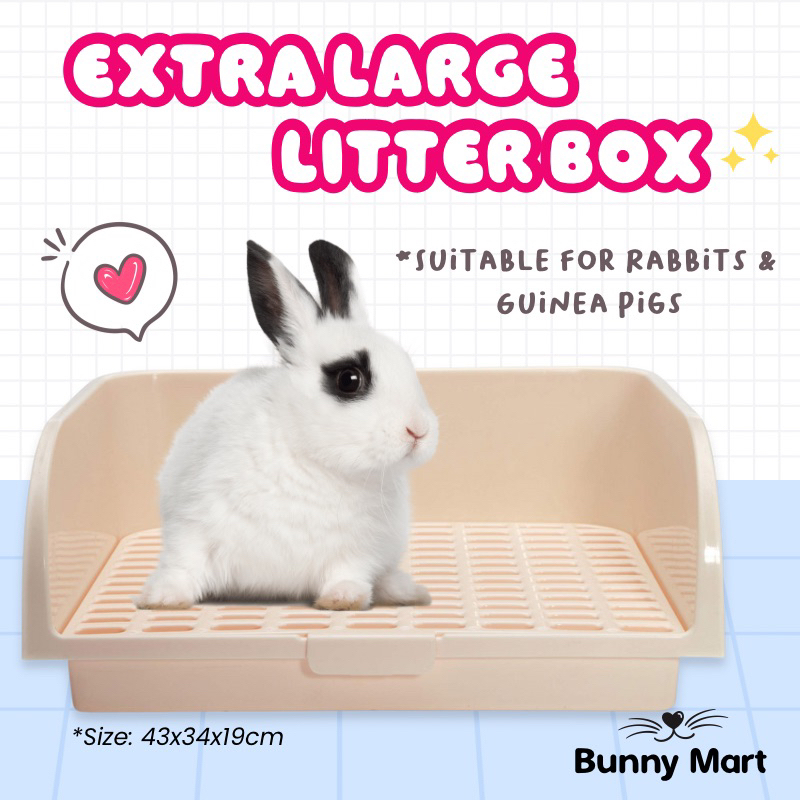 EXTRA LARGE Rabbit & Guinea Pig Litter Box for Potty Training Shopee