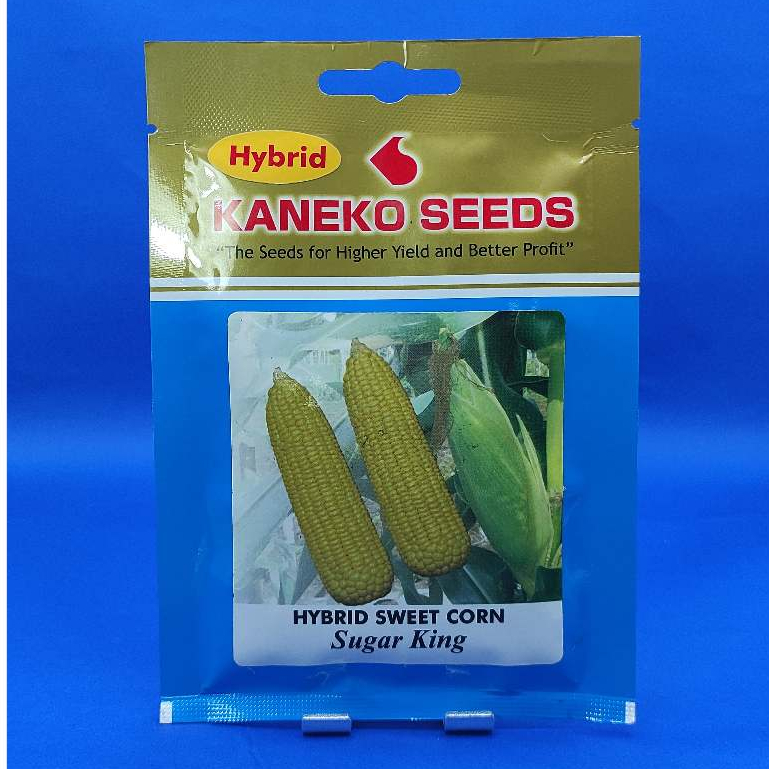 KANEKO SEEDS SUGAR KING HYBRID SWEET CORN SEEDS JAPANESE SWEET CORN (15
