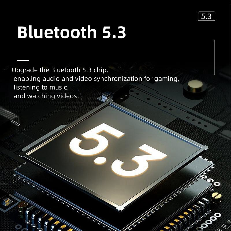 Portable Professional Karaoke Wireless Bluetooth Speaker With Wireless ...