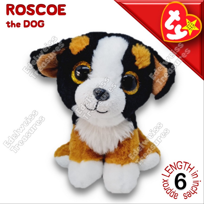 Roscoe beanie boo new arrivals