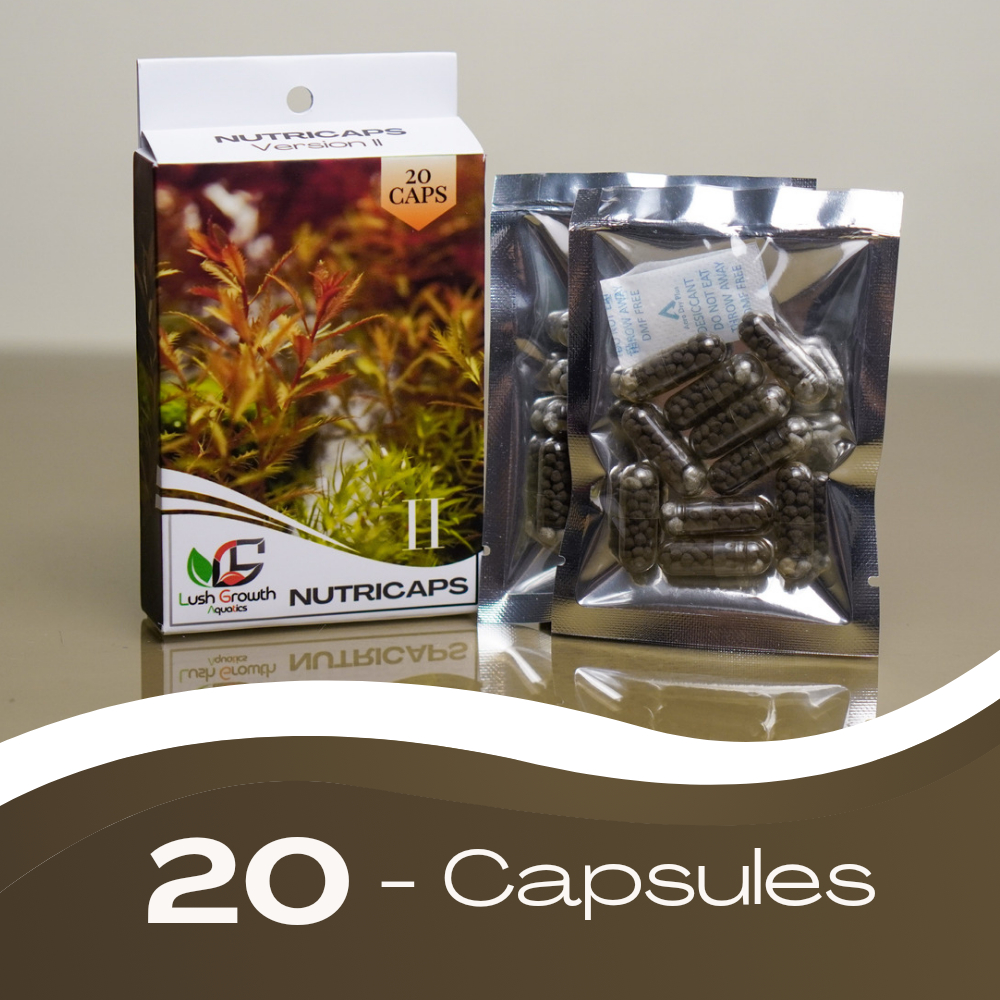 AllinOne Aquarium Root Tabs LGA Nutricaps V2 Shopee Philippines