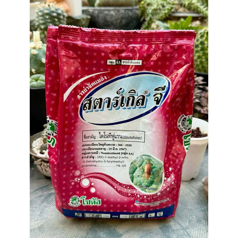 Starkle G 1KG Plants by Flipay | Shopee Philippines