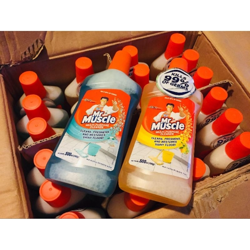 Mr muscle multipurpose cleaner assorted pauline | Shopee Philippines