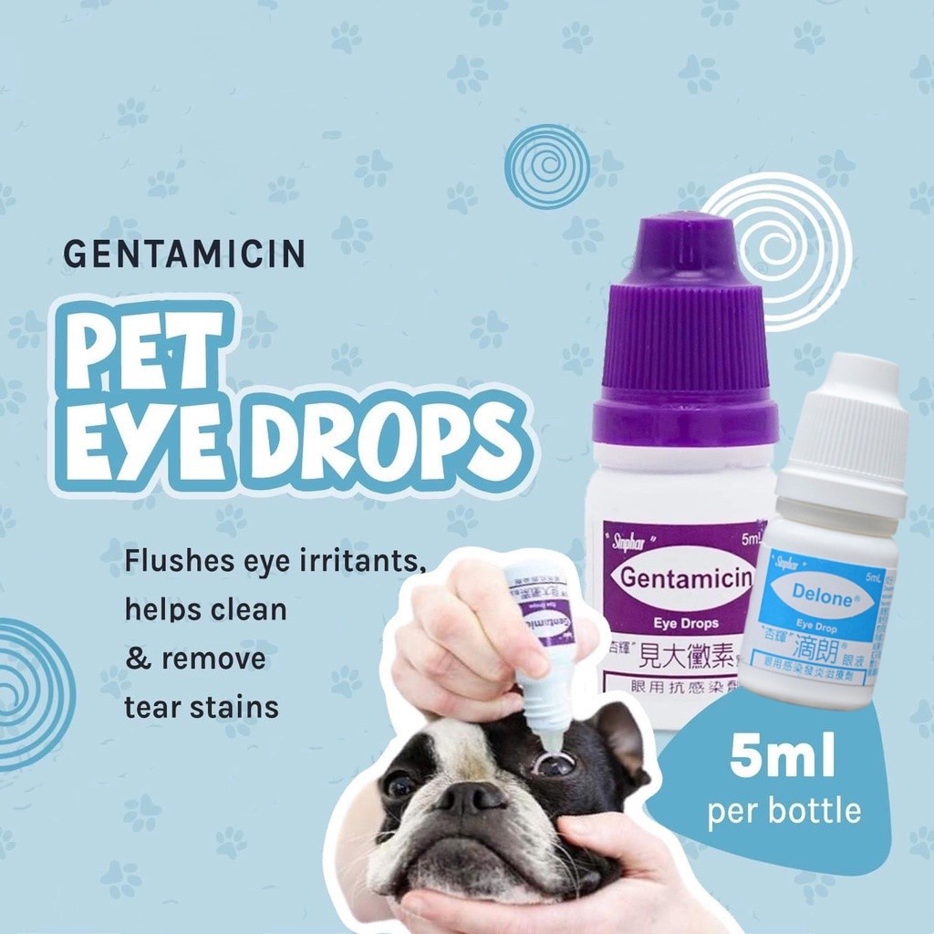 Gentamicin Sulfate For Cats Eyes Dog Eye Drop For Infection Dog Eye