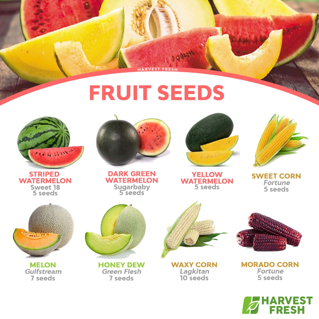 Fruit Seeds - Melon Honey Dew Watermelon Sugarbaby Sweet Corn Morado ...