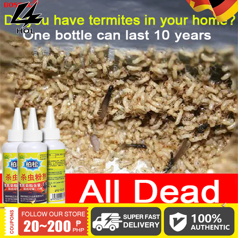 Queen ants die,infect each other,die quickly.Termite Killer termite x ...