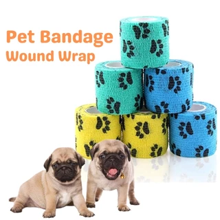 Shop bandage for dogs for Sale on Shopee Philippines