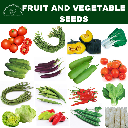 VEGETABLE PLANT SEEDS (PECHAY, OKRA, SITAW, SILI, KAMATIS, LETTUCE ...