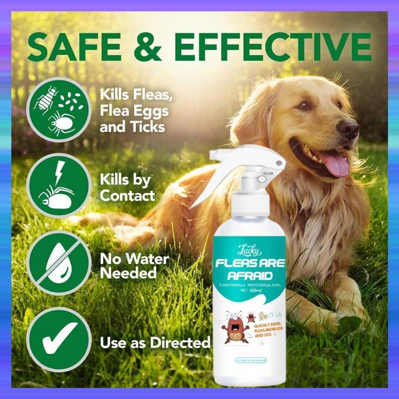 Tick and Flea Spray 1 Seconds to Kill Ticks Garapata Killer Spray Anti ...