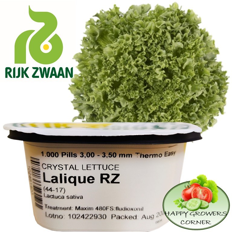 Rijk Zwaan Lalique Rz Green Crystal Lettuce Pelleted Premium Seeds 1k Tub Original Packaging 6409