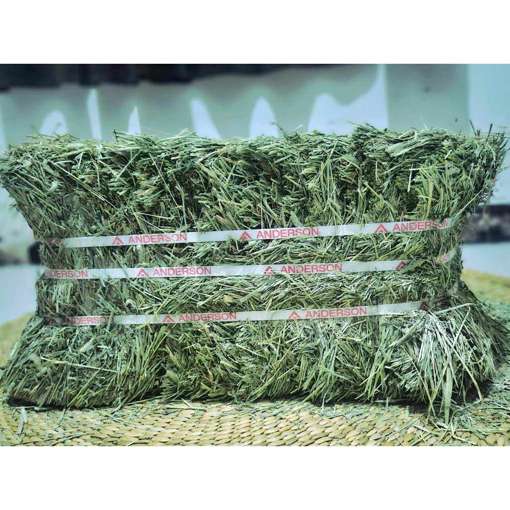 Anderson Timothy Hay Second Cut - 5KG | Shopee Philippines