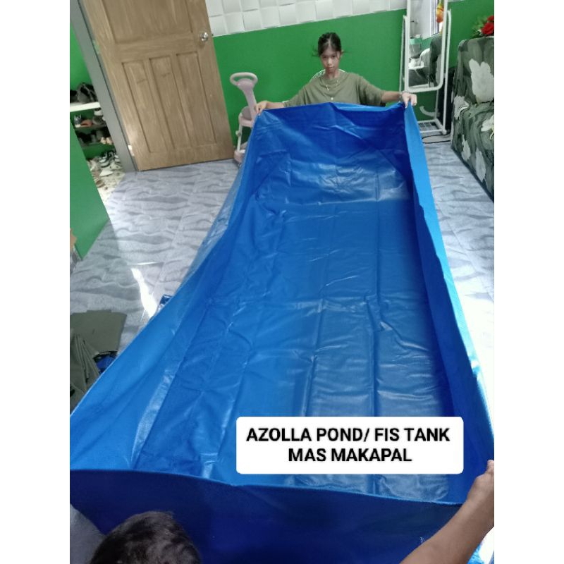 AZOLLA POND FISH POND, CRAYFISH TANK S200 pinaka makapal | Shopee ...