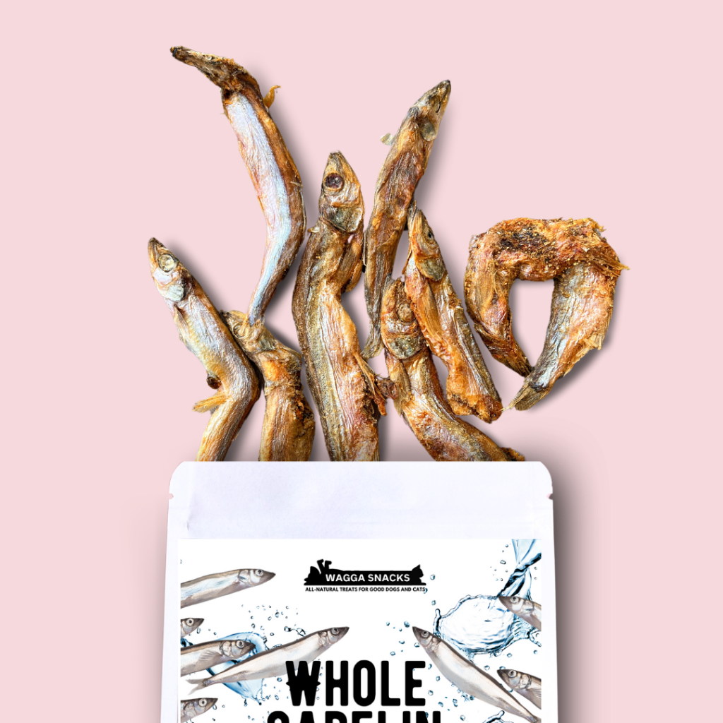 Whole Capelin with Roe Single-Ingredient All-Natural Freeze-dried ...