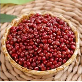 Buy1Take1 - 100 grams Red Mung Beans Organic Natural Red Monggo Beans ...