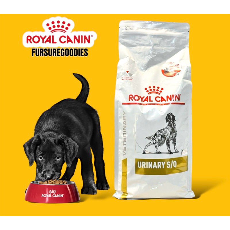 Canin urinary so dog food hotsell