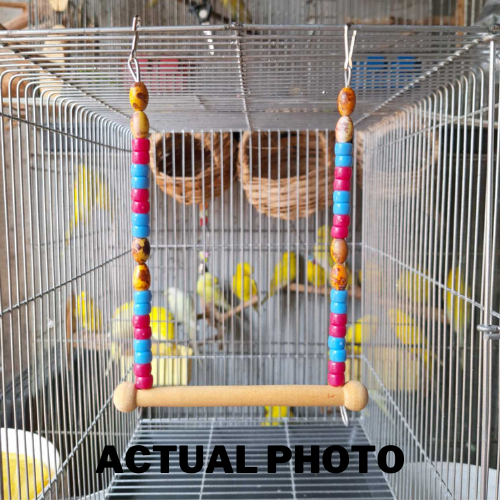 The Bird Shop PH Bird toys Swing Wooden Multi-color Parrot Accessories ...