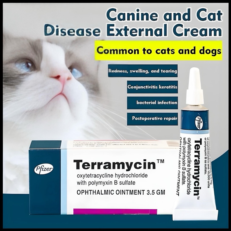 Terramycin Ophthalmic Ointment Conjunctiva for Dog and Cat for Eye