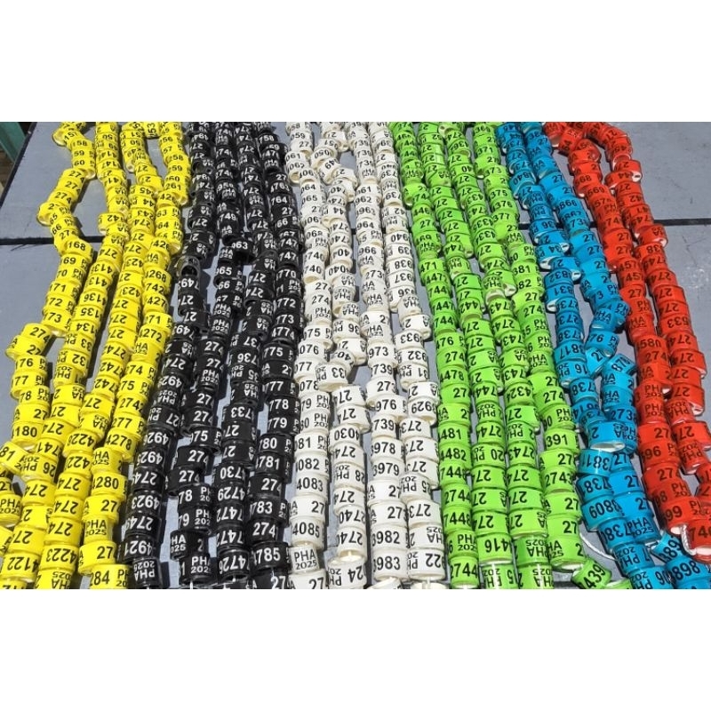 100pcs for 1000pesos Comring Pha oval 8mm 2025 & 2026 | Shopee Philippines