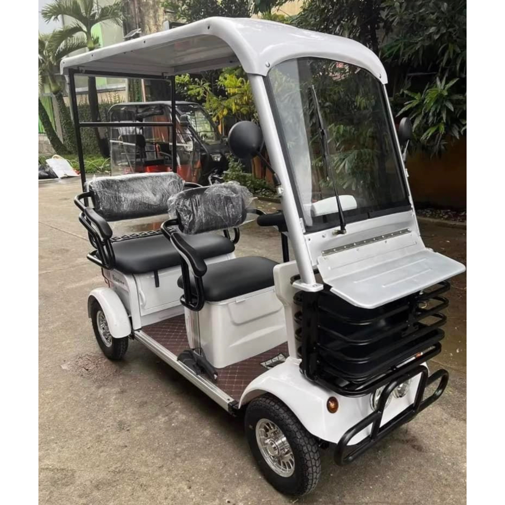 Brand New ZEUS SUPER 009 GOLF CAR 4WHEELS FAMILY SIZE ELECTRIC BIKE