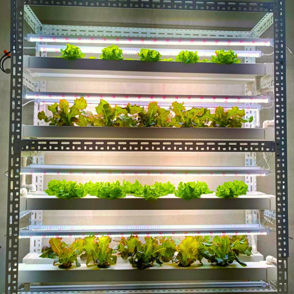 LED T8 Grow Lights 36watts 4 Feet Full Spectrum High Efficiency