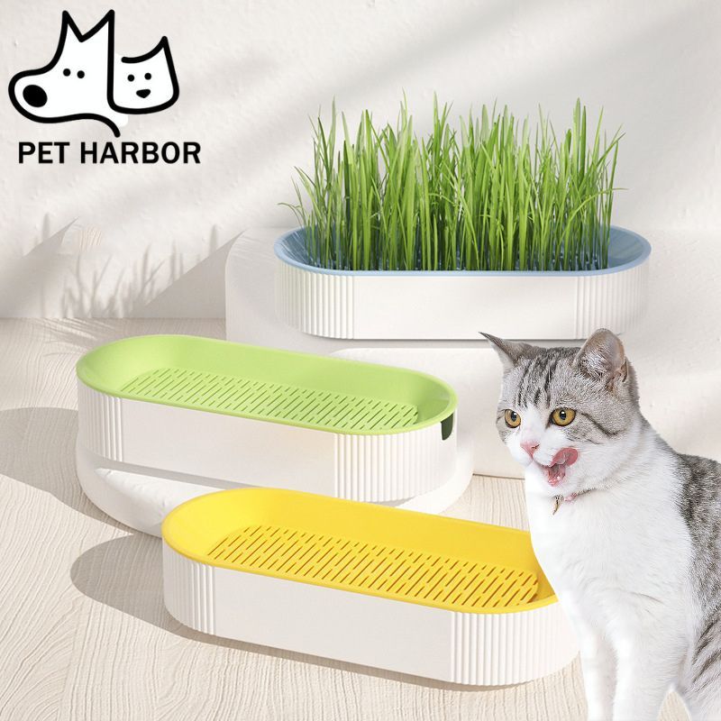 Cat Snack Cat Mint Planting Hydroponic Box Cat Grass Box Bowl Catgrass