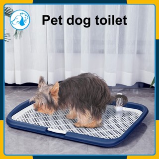 Extra large shop dog potty tray