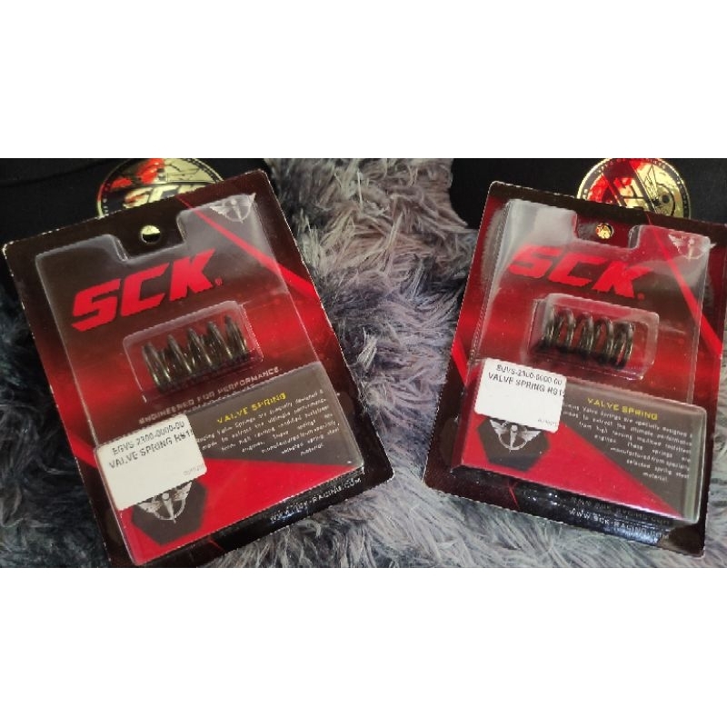 SCK Valve Spring (GTR150 / RS150 / CBR150r) | Shopee Philippines