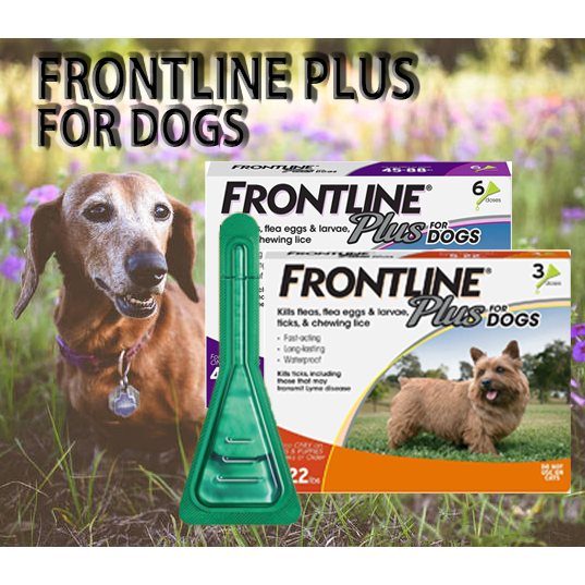 Frontline Plus Ticks and Fleas Removal Anti Ticks and Fleas Control for ...