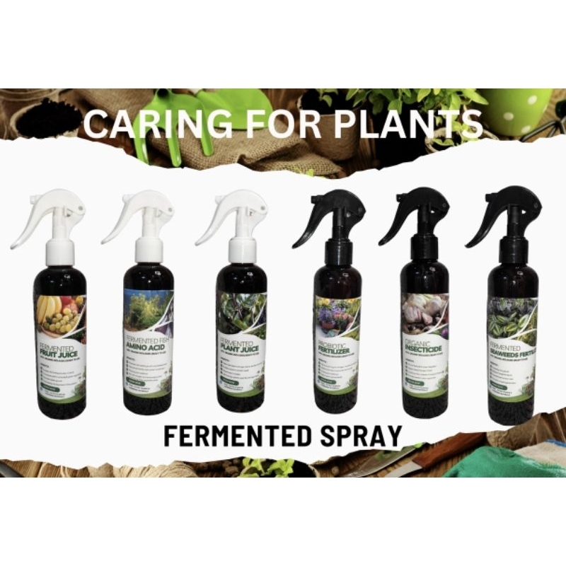 Plant 𝐅𝐎𝐋𝐈𝐀𝐑 𝐎𝐑𝐆𝐀𝐍𝐈𝐂 𝐒𝐏𝐑𝐀𝐘 Fermented with Molasses , Gardening