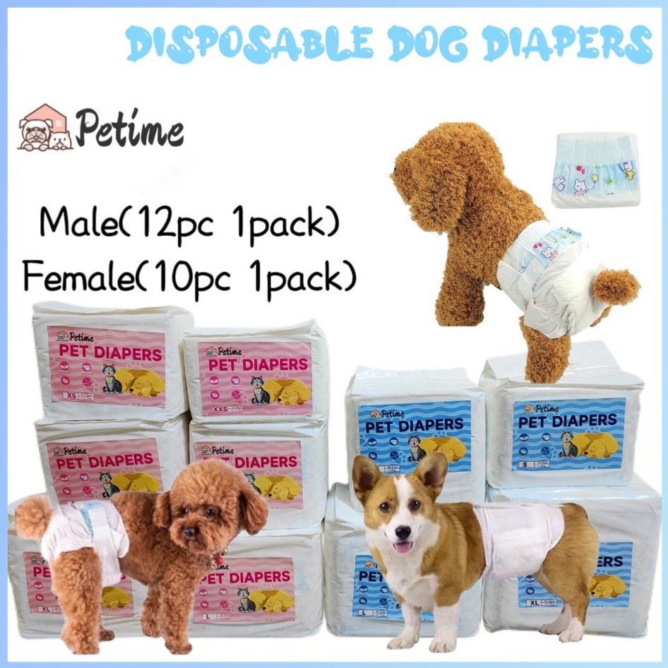 Diaper for 2025 dogs philippines