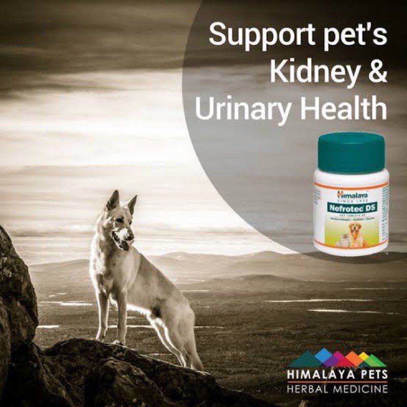 All Stages Adult Puppy 60 tablets Himalaya Nefrotec Ds For Dogs And ...