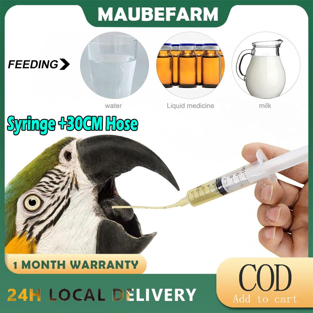 60cc Bird parrot syringe feeder with feeding tube Handfeeding syringe for young bird pigeon pets