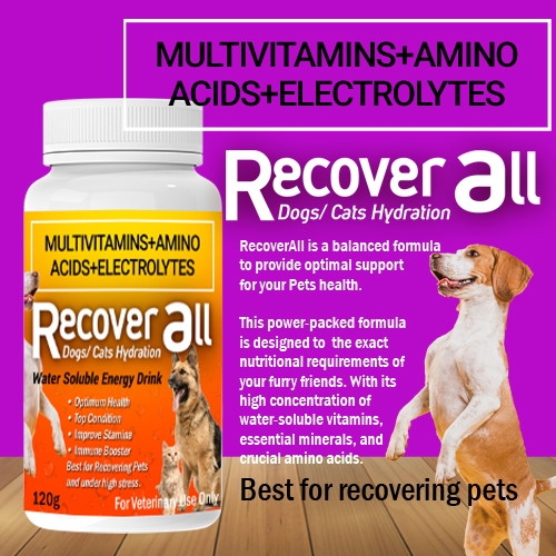 RecoverAll Dogs and Cats MultiVitamins, Amino Acids, Electrolytes