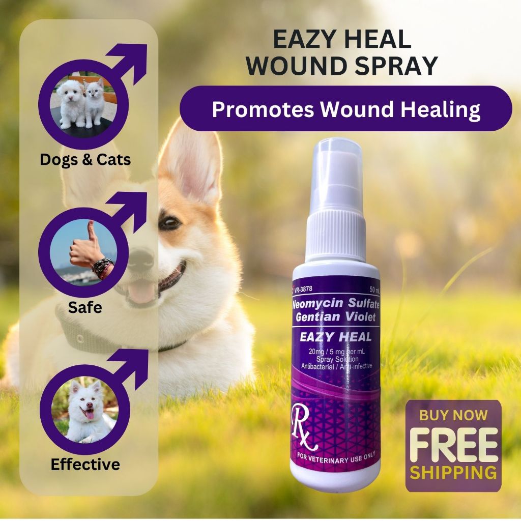 EAZY HEAL PET WOUND SPRAY Antibacterial Spray Solution 50ml Shopee Philippines