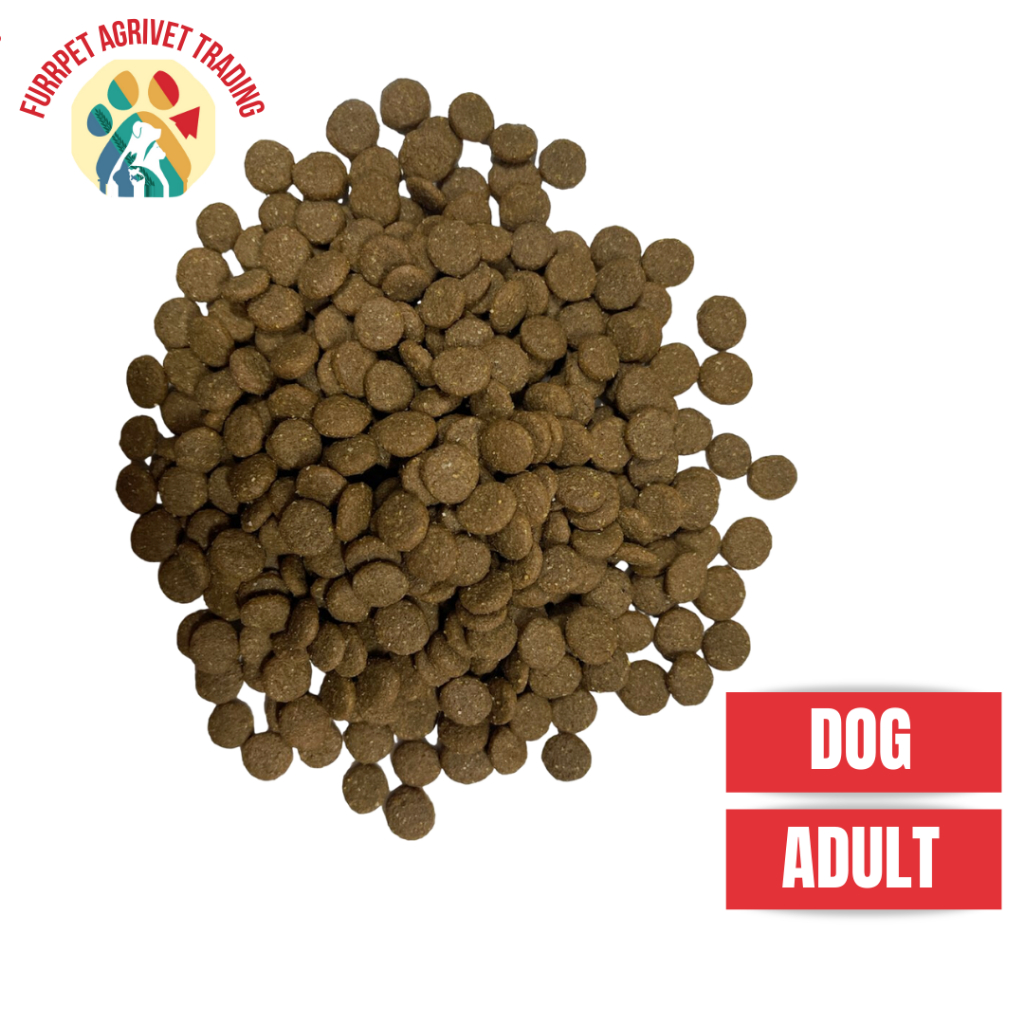 Nutricare Dog Food Adult Lamb Flavor 1kg / HALF KILO REPACKED | Shopee ...
