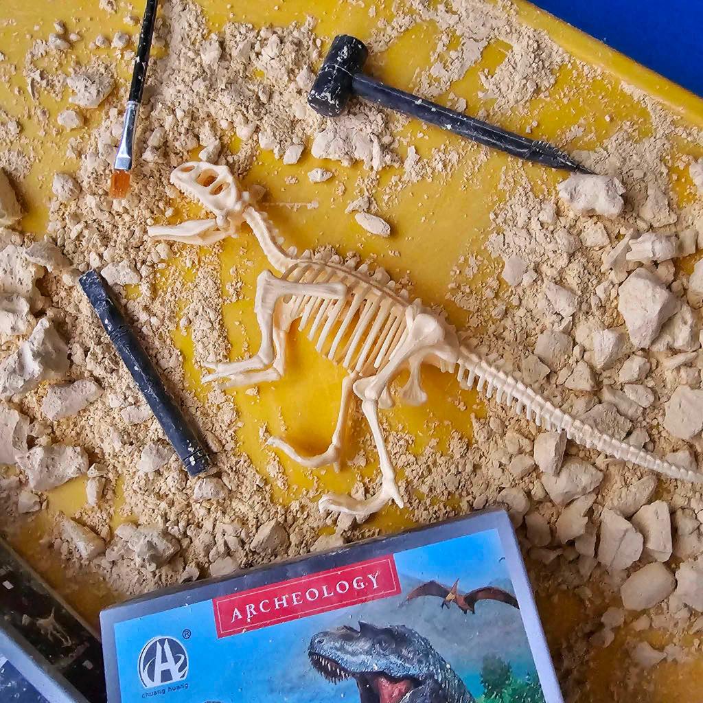 DIG FOR DINOSAUR BONES! - PACO toys dig kit - Tyrannosaurus Rex ...
