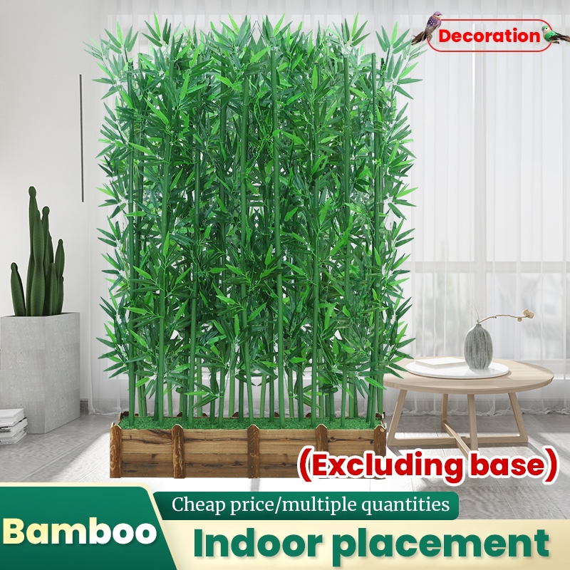 Large Bamboo Plants - Wholesale Indoor & Outdoor Decor