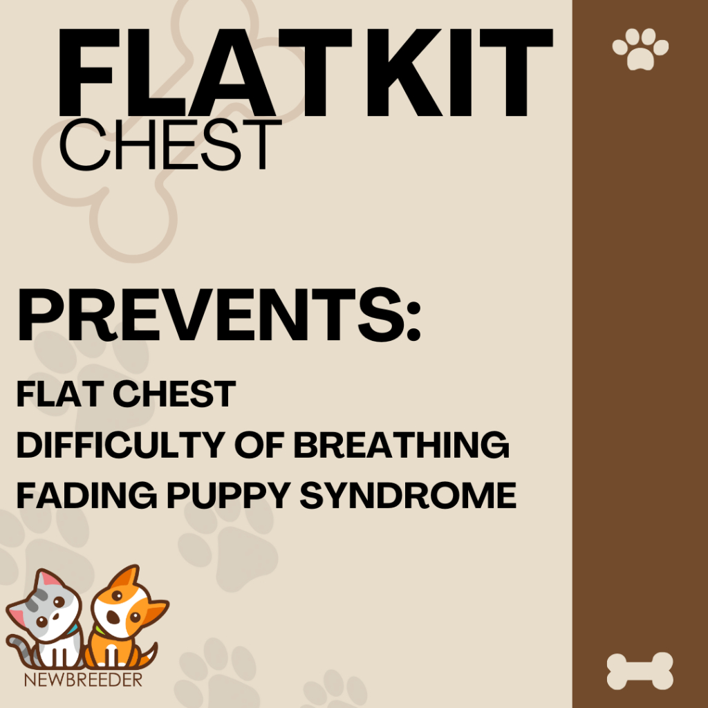 Flat Chest Puppy Flat Chest Kit for Chest Deformities and Difficulty of ...